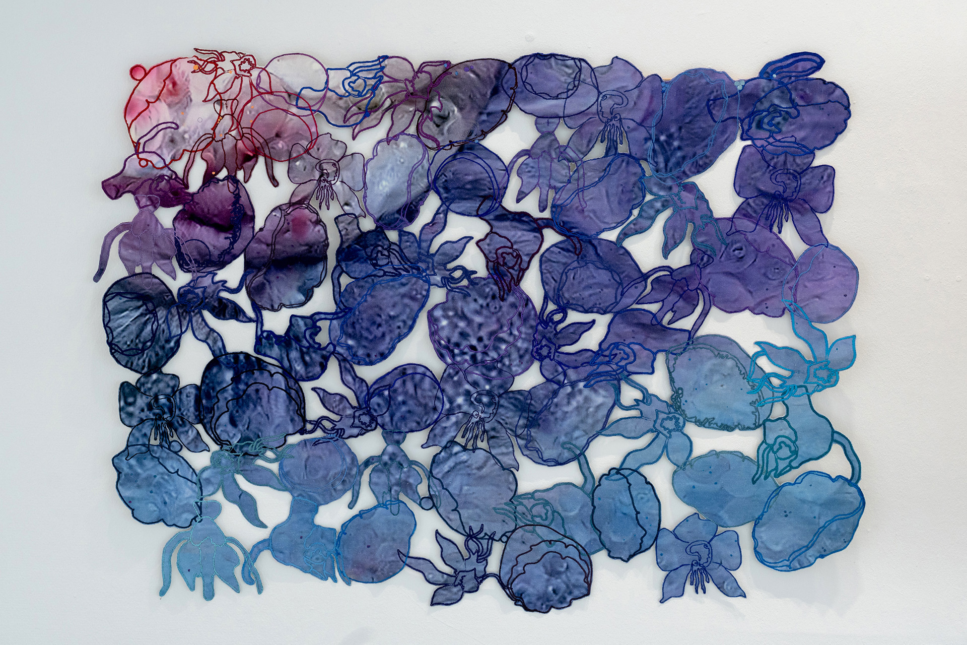A Concise History of Interconnectedness, photo by Karolina Sobel